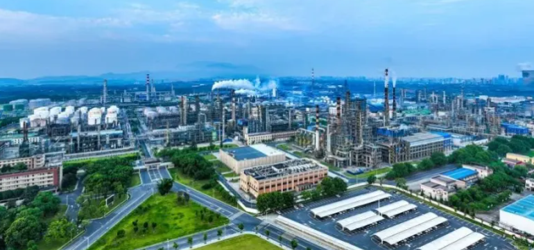 2024年凉茶市场趋势：清酷凉茶与传统凉茶功效对比